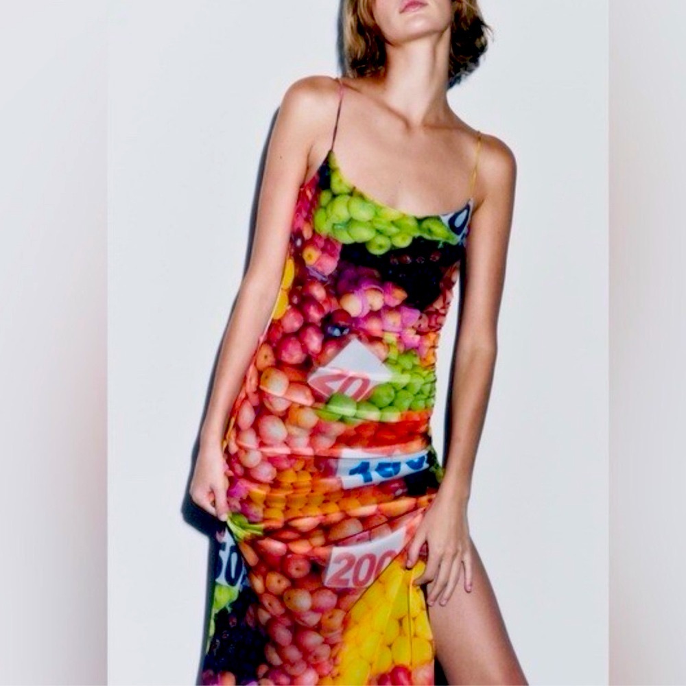 ZARA Ruched Mesh Fruit Strappy Maxi Dress